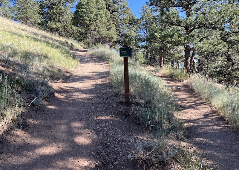 Pines to Peaks Loop, Bald Mountain, Boulder (July 2025)