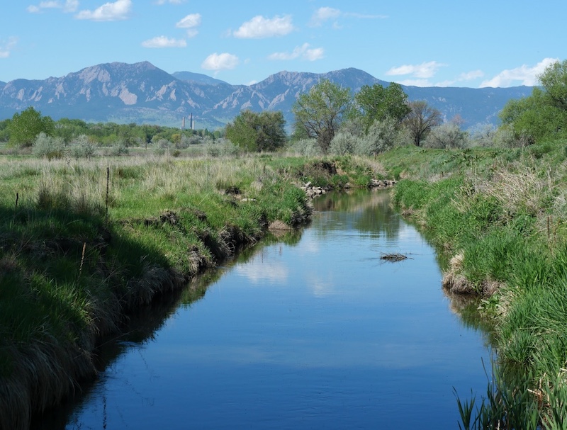 Ditch in a water-filled spring grassland, Boulder, Colorado (may 2025)