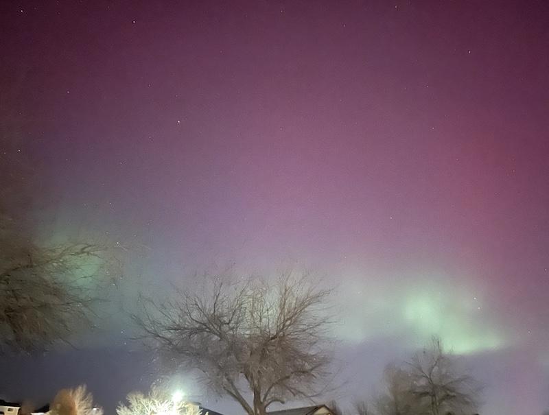 Aurora Borealis, Louisville, Colorado (November 11 2025)