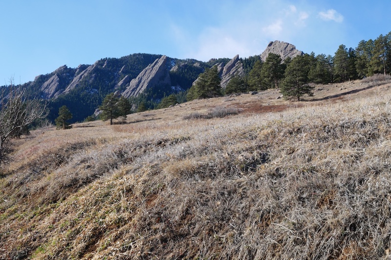 Chautauqua Trail, Boulder (December 2024)