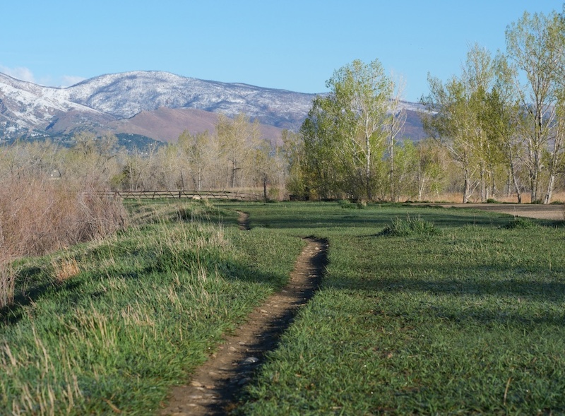 Coot Lake, Boulder, Colorado (April 2025)