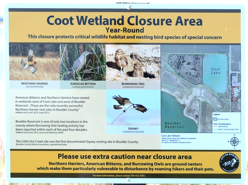 Coot Lake, Boulder, Colorado (April 2025)