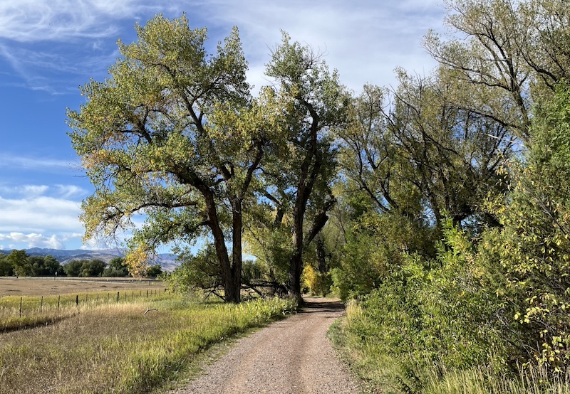 Cottonwood Trail, Boulder (September 2024)
