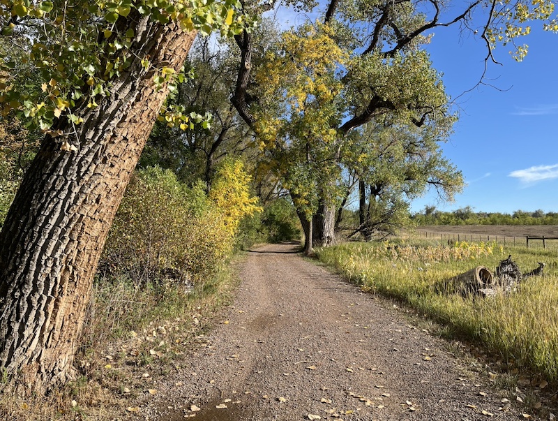 Cottonwood Trail, Boulder (September 2024)