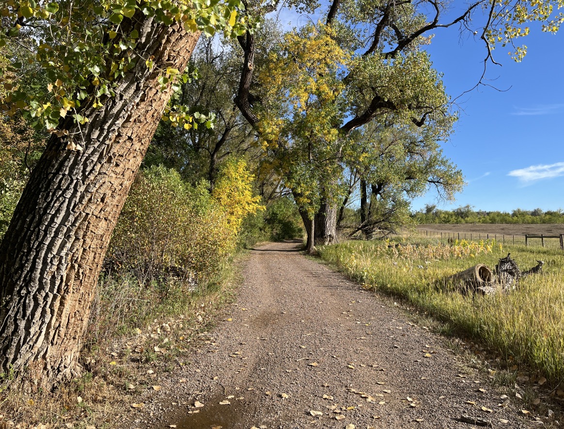 Cottonwood Trail, Boulder (September 2024)