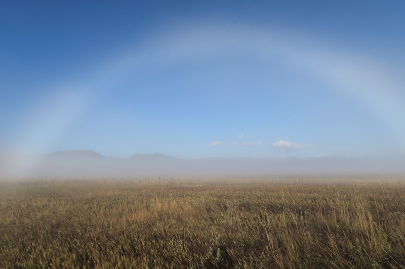 White Rainbow (Fogbow), Davidson Mesa Trail, Louisville (September 2017)