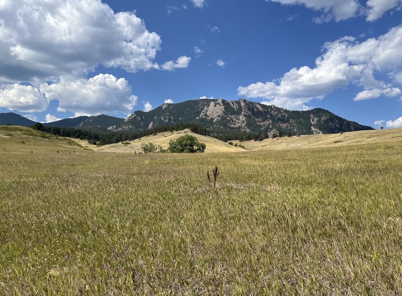 Doudy Draw Trailhead, Boulder, Colorado (September 2024)