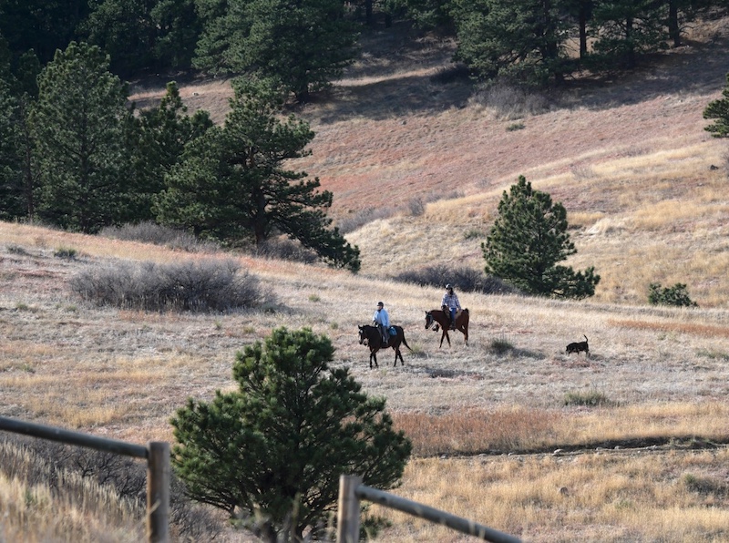 Doudy Draw Trailhead, Boulder, Colorado (December 2025)