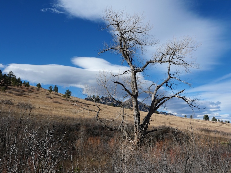 Doudy Draw Trailhead, Boulder, Colorado (December 2025)