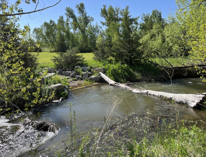 Dry Creek Trail, Boulder, Colorado (May 2024)