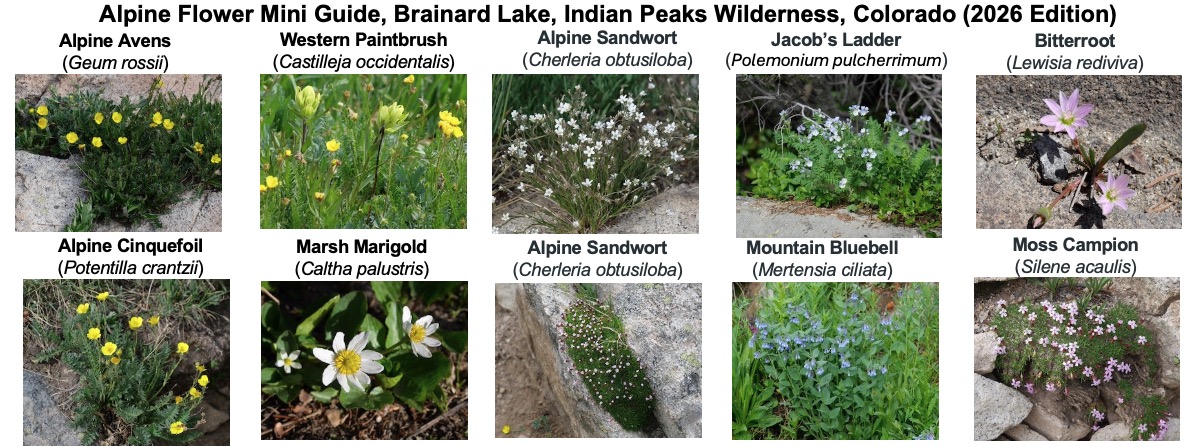 Field Guide, BoulderNature.com