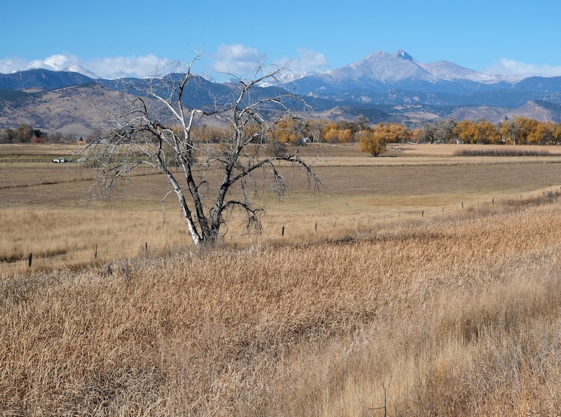 McIntosh Lake , Longmont, Colorado (November 2025)