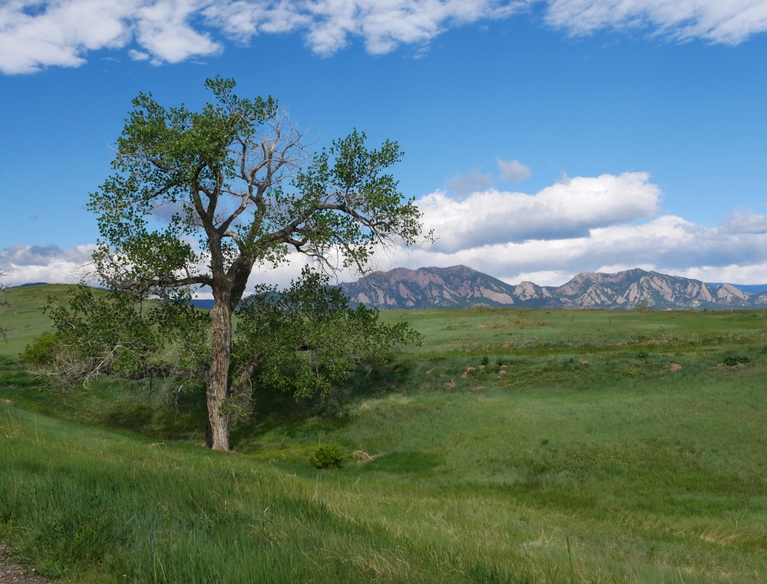 Meadowlark & Mayhoffer Singletree Trails, Oerman-Roche Trailhead, Superior (May 2024)