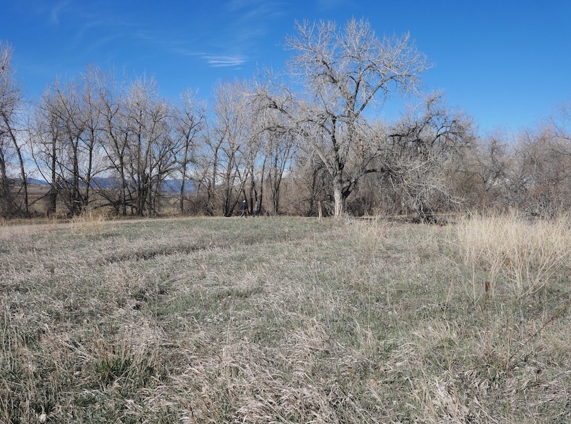 S Public Rd Trailhead, Coal Creek Trail, Lafayette, Colorado (March 2025)