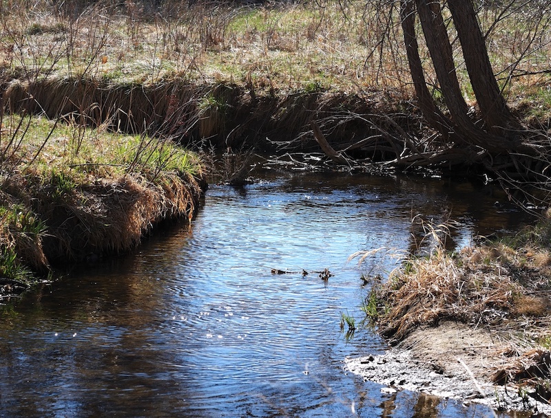 S Public Rd Trailhead, Coal Creek Trail, Lafayette, Colorado (March 2025)