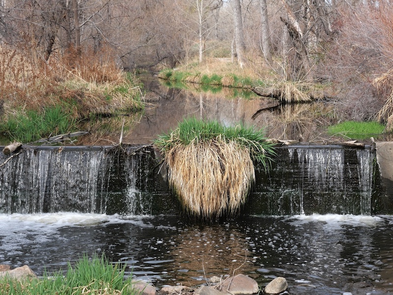 S Public Rd Trailhead, Coal Creek Trail, Lafayette, Colorado (March 2025)