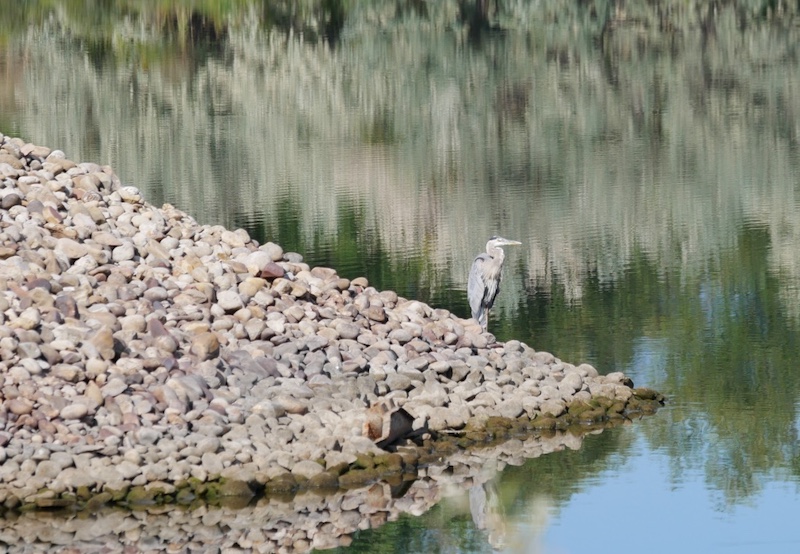 Sawhill Ponds Trail, Bouldfer (September 2024)
