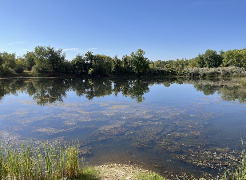 Sawhill Ponds Trail, Bouldfer (September 2024)