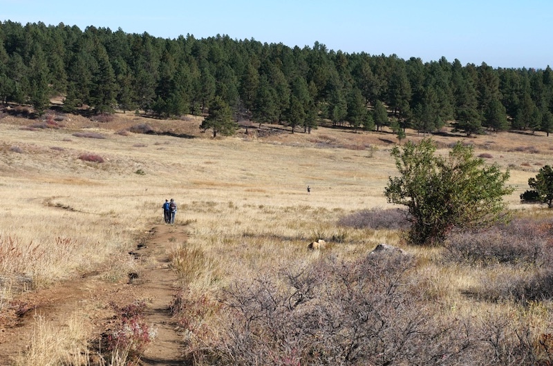 South Boulder Creek West Trail, Boulder, Colorado (November 2024)