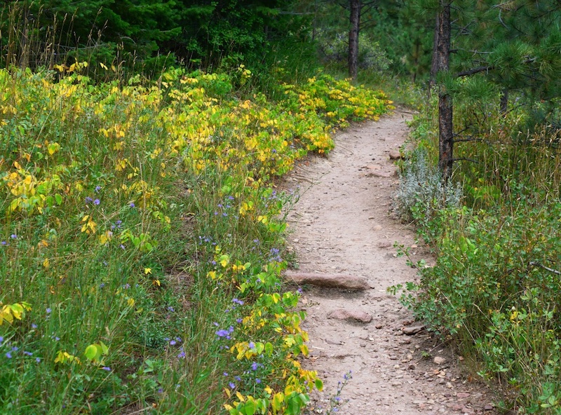 South Mesa Trailhead, Boulder, Colorado (September 2024)