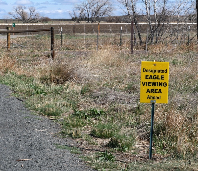 Cradleboard Trail / Stearns Lake Trailhead, Broomfield (March 2025)
