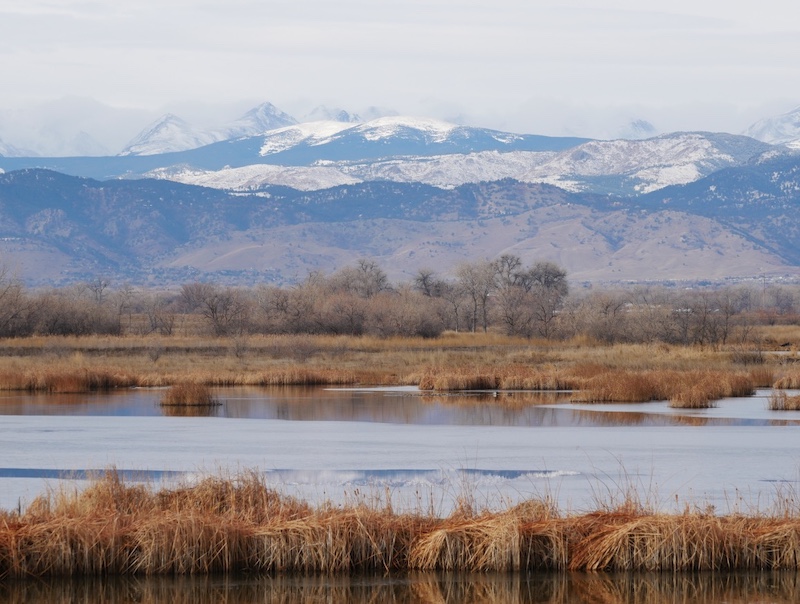 East Boulder Trail, Teller Farm North, Boulder (December 2024)