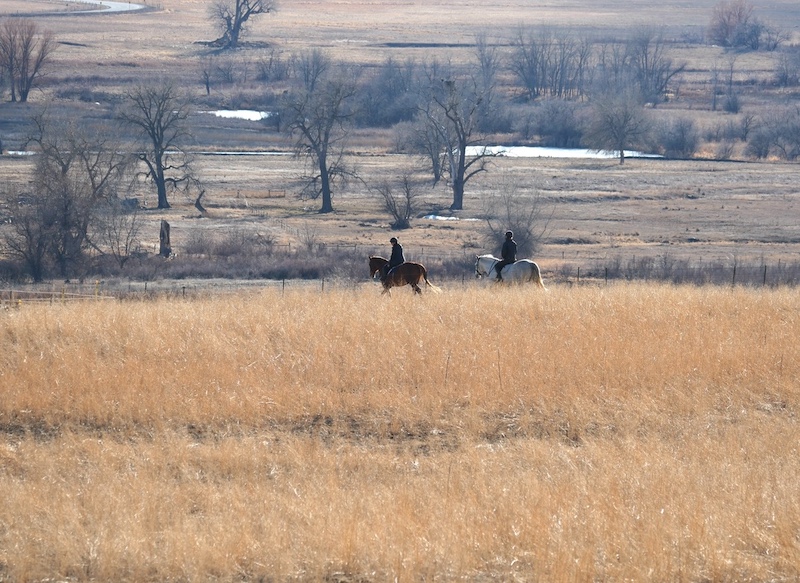 Horse Riding, East Boulder Trail, Teller Farm North Trailhead, Boulder (February 2025)