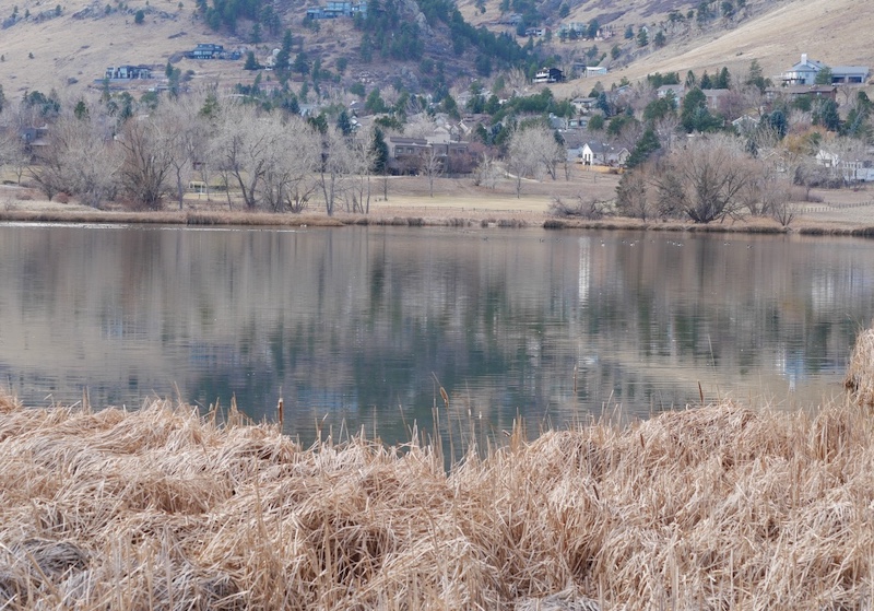 Wonderland Lake Trail, Boulder, Colorado (December 2025)