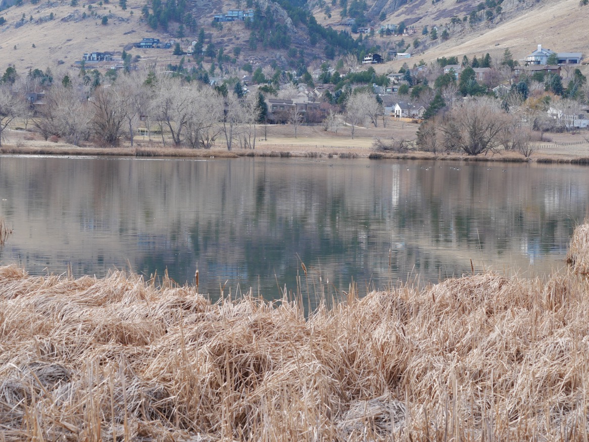 Wonderland Lake Trail, Boulder, Colorado (December 2025)